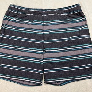 SPEEDO Striped Gray and Blue Lined Swim Trunks Shorts Mens XXL  7.5” Inseam
